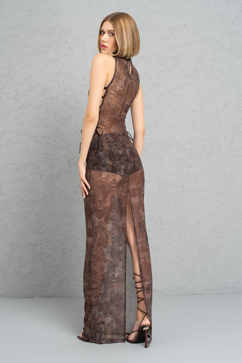 Brown & Black Leopard Mesh Maxi Dress