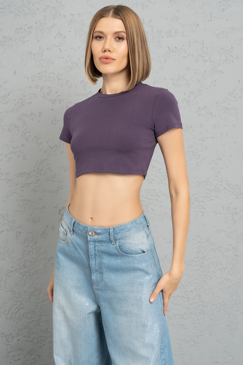 Wholesale Short Sleeve Purple Crop Top