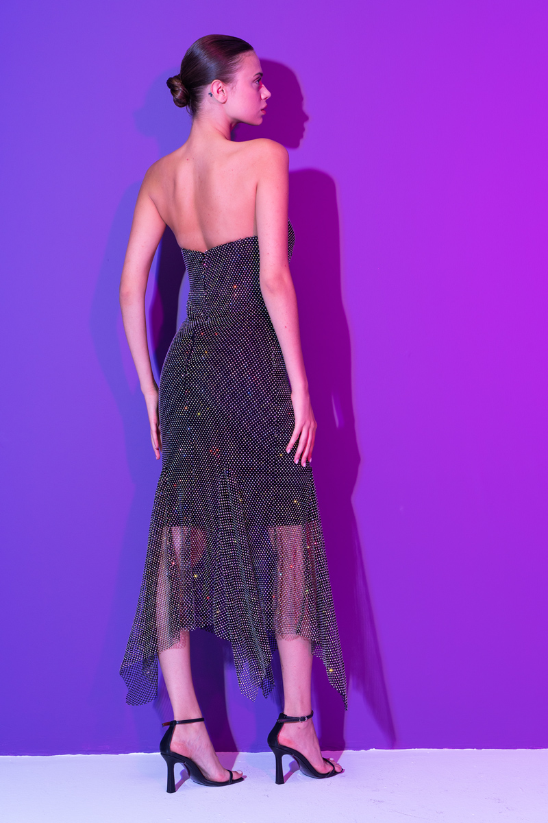 JANJAN-BLACK Embellished Net Dress with Lining