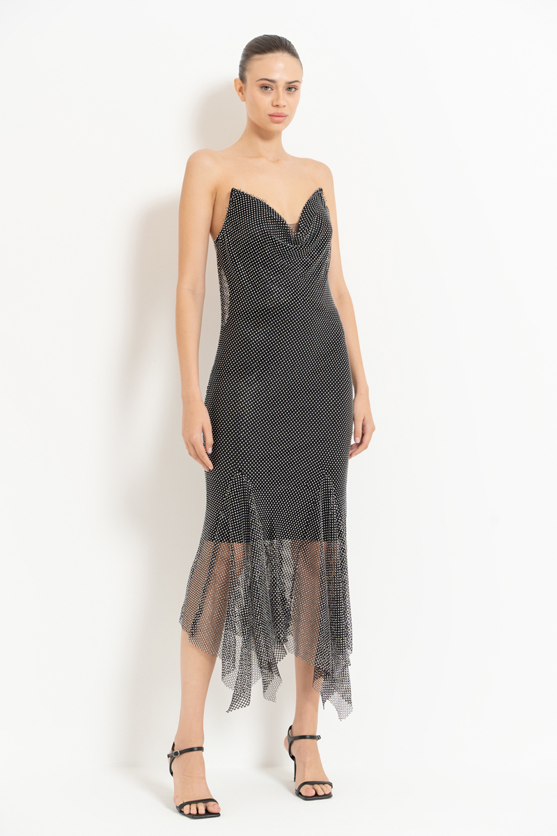 Black-Silver Embellished Net Dress with Lining