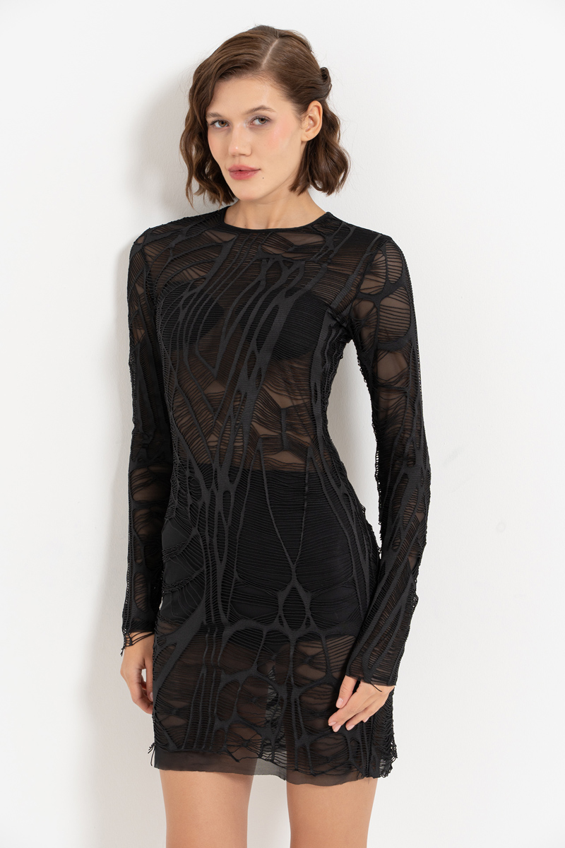Black Mesh-Inside Net Dress