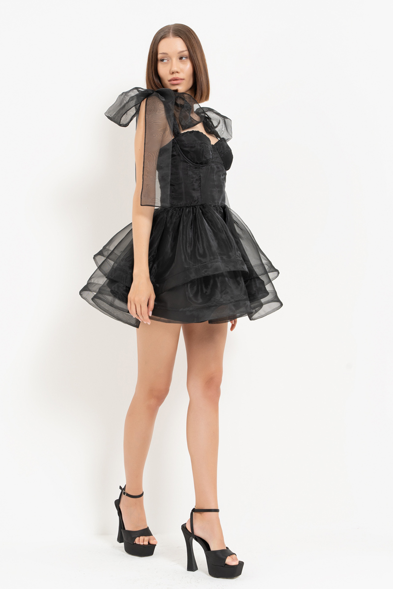 Black Ruffle-Trim Organza Mini Dress