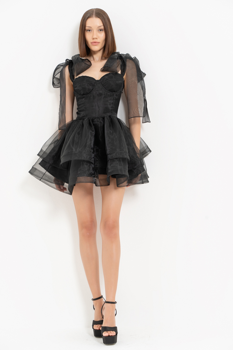 Black Ruffle-Trim Organza Mini Dress