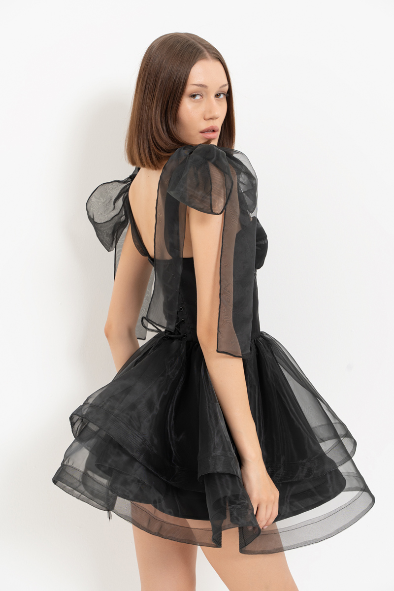 Black Ruffle-Trim Organza Mini Dress