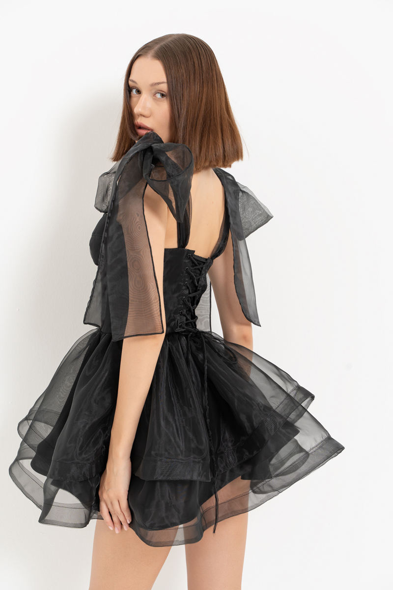 Black Ruffle-Trim Organza Mini Dress