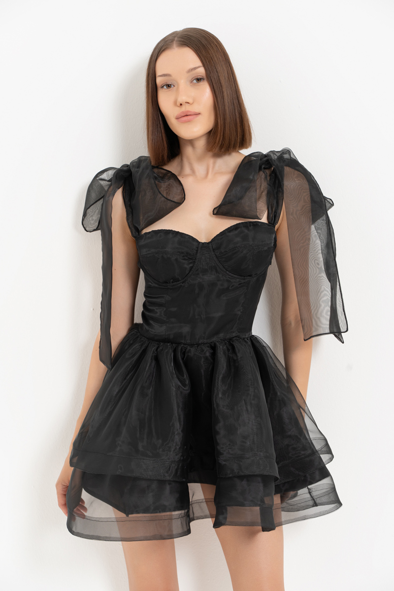 Black Ruffle-Trim Organza Mini Dress