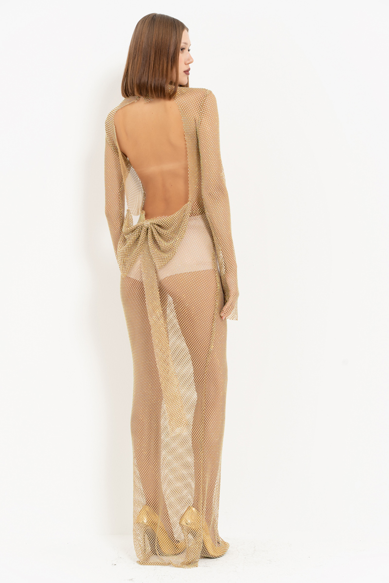 NUDE-JANJAN Backless Net Maxi Dress